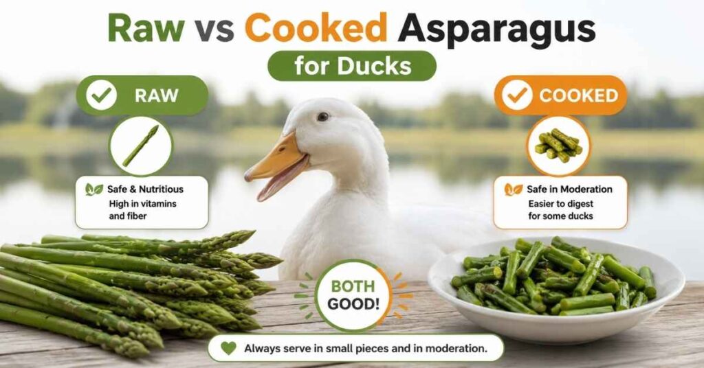 Can Ducks Eat Asparagus?