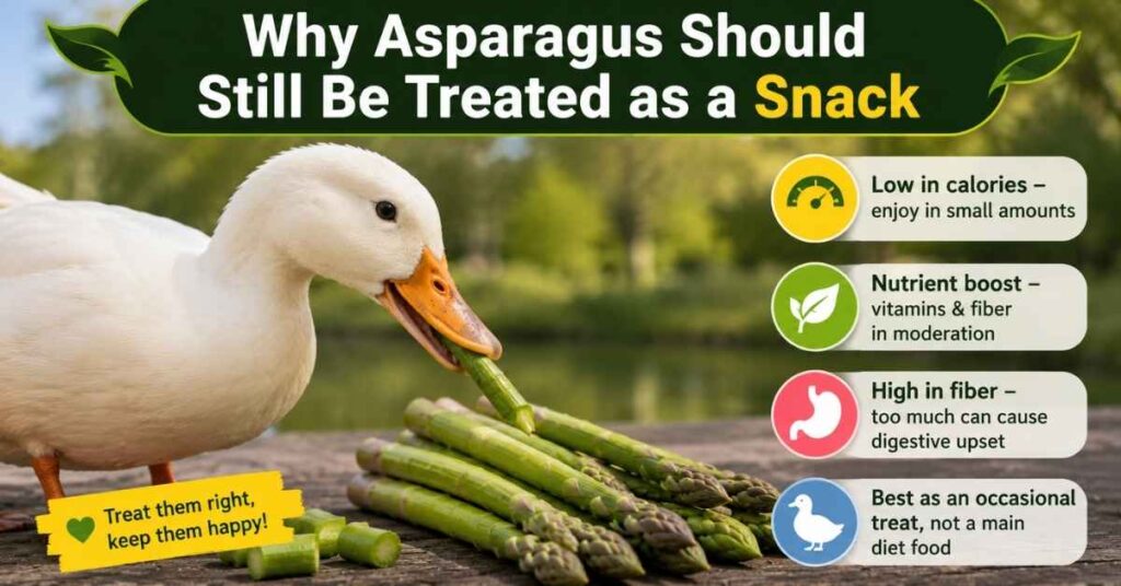 Can Ducks Eat Asparagus Raw?