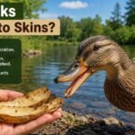 Can Ducks Eat Potato Skins?