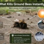 What Kills Ground Bees Instantly?